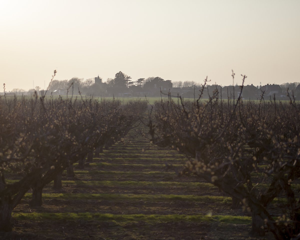 Churches Conservation Trust tweet media