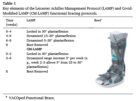 JanAlvarezVives's tweet photo. Structure and function of the Achilles tendon rupture  after non-surgical management

🔄Tendon remodelling may occur during the initial 52w.
📏CSA was 28 % lower from 10w to 52w. 
💪At 52w : disorganisation, iso plantar
weakness &amp; reduced function.

https://t.co/TzumZ6k3WP https://t.co/lvSLfcFSBb