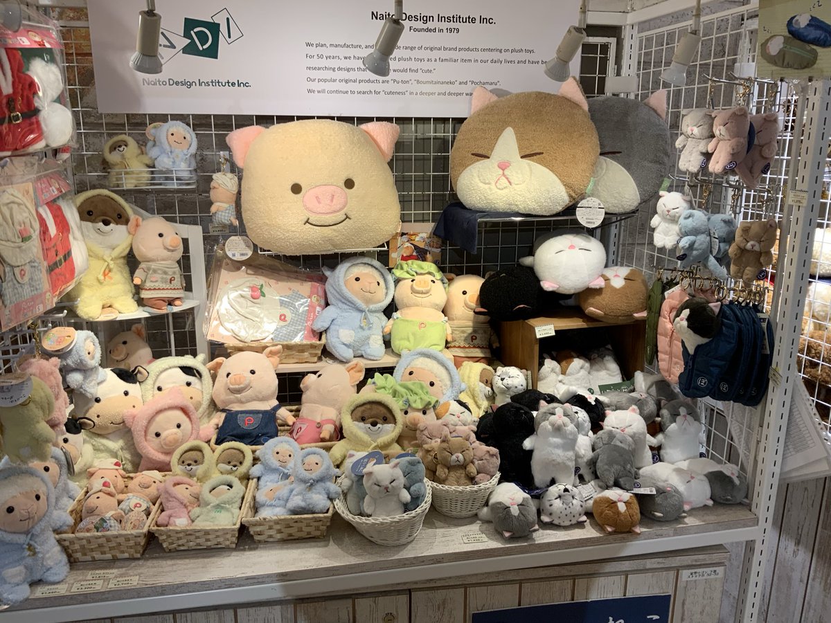 ぬいぐるみの童心【公式】🥺 (@Dousin_kawaii) on X