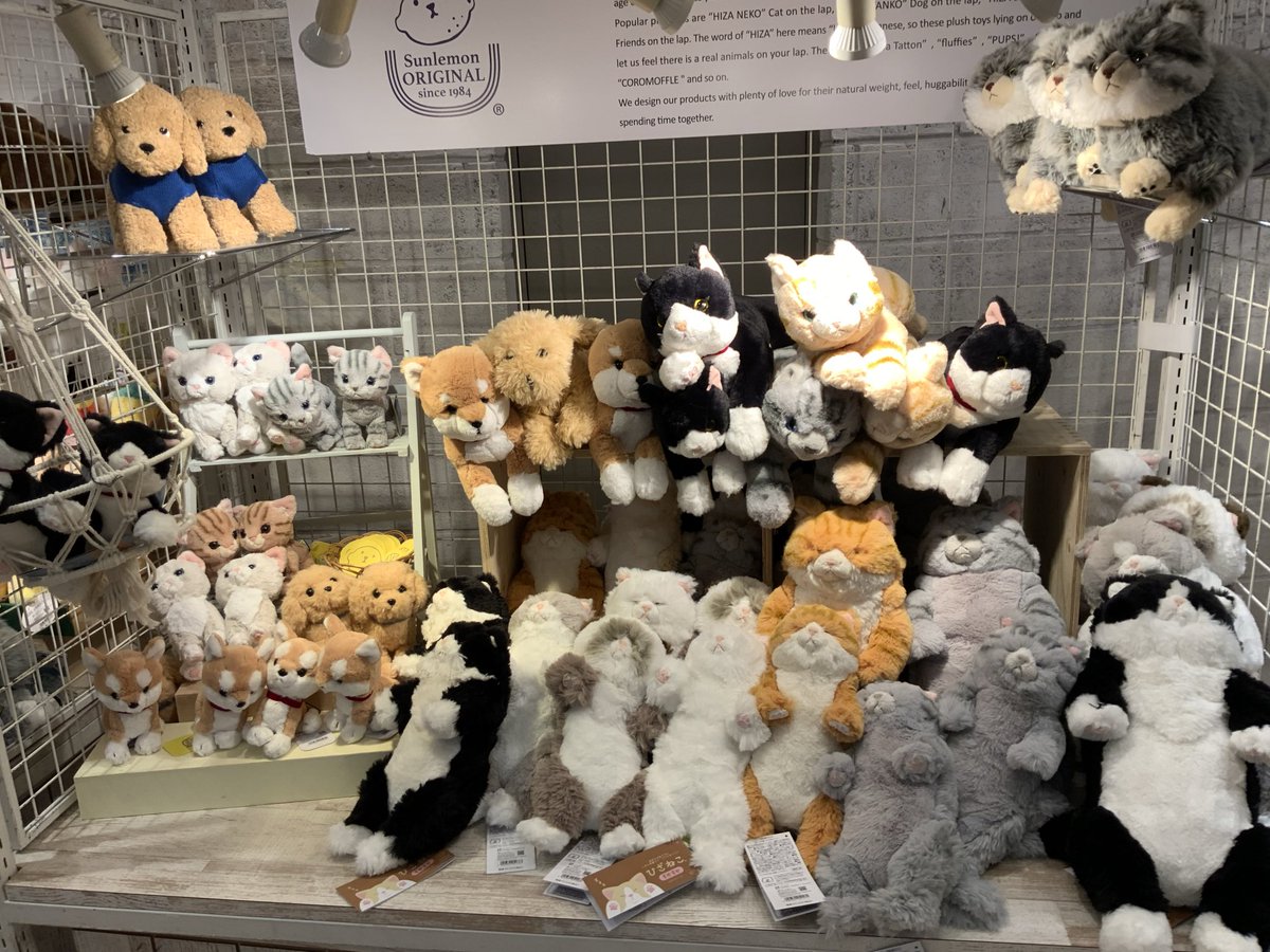 ぬいぐるみの童心【公式】🥺 (@Dousin_kawaii) / Posts / X