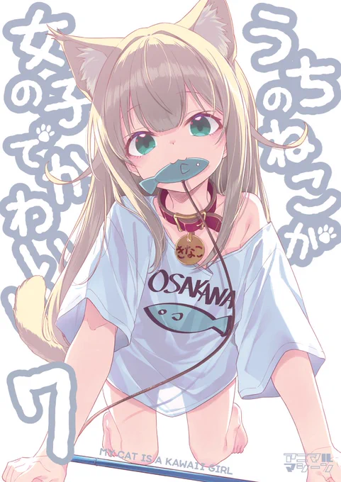 『うちのねこが女の子でかわいい』の第7巻が出るよ٩( `ω' )و 今回もきなこがいっぱいの一冊だよ ご予約受付中 メロンブックス とらのあな #うちのねこが女の子でかわいい