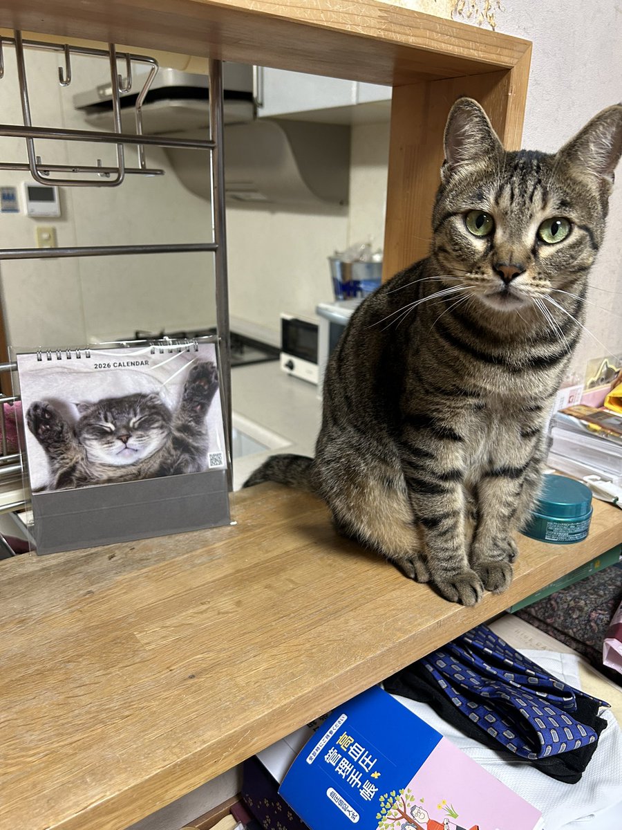 はると (@tomeji1106) / Posts / X はると (@tomeji1106) / Posts / X