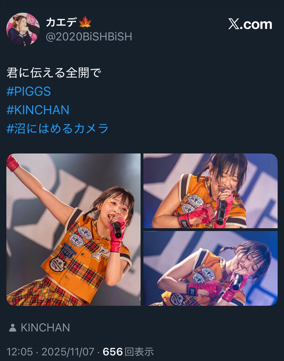 きんちゃん きんちゃん(公式)/Kinchan 3D Designer 🇯🇵🇲🇾🐢🍮🐷 (@kinchan1110