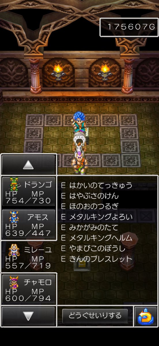 SeSub_'s tweet image. メンバー全員にメタキン鎧、兜、山彦の帽子とか装備させてもう怖いものない