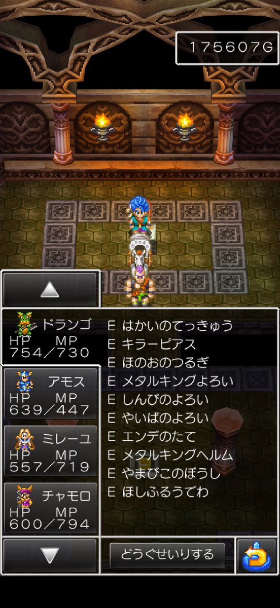 SeSub_'s tweet image. メンバー全員にメタキン鎧、兜、山彦の帽子とか装備させてもう怖いものない