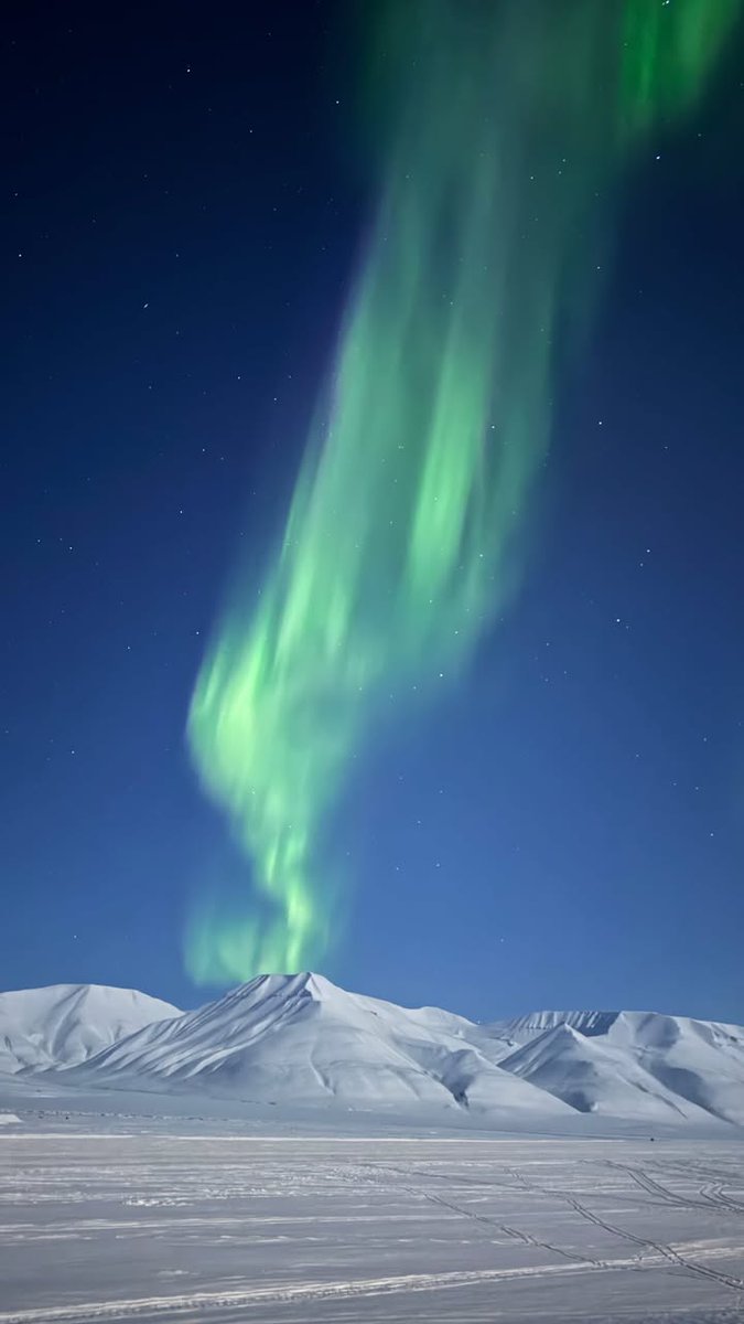sitaurusboy2's tweet image. Last day in svalbard 🥶