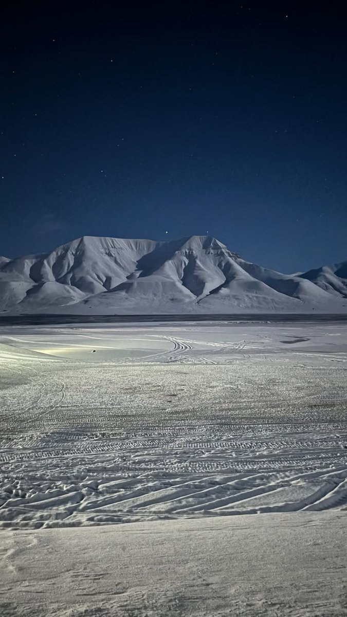 sitaurusboy2's tweet image. Last day in svalbard 🥶