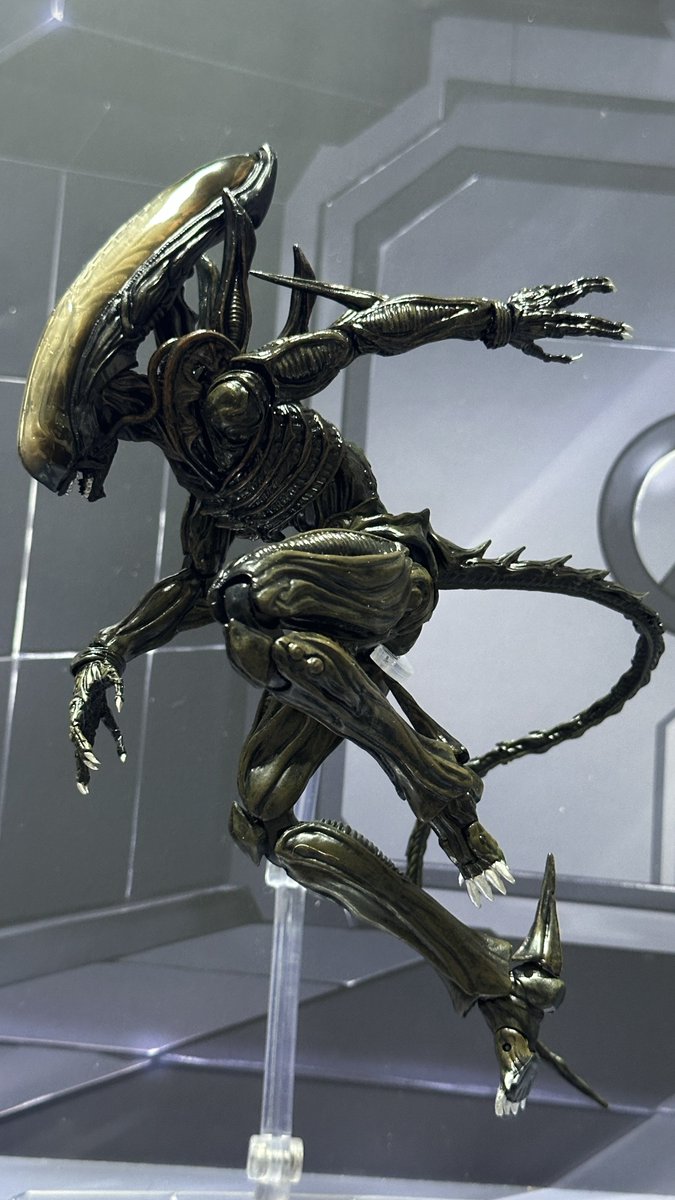 yoshi様 Yoshi. (@Yoshi6054) / Posts / X