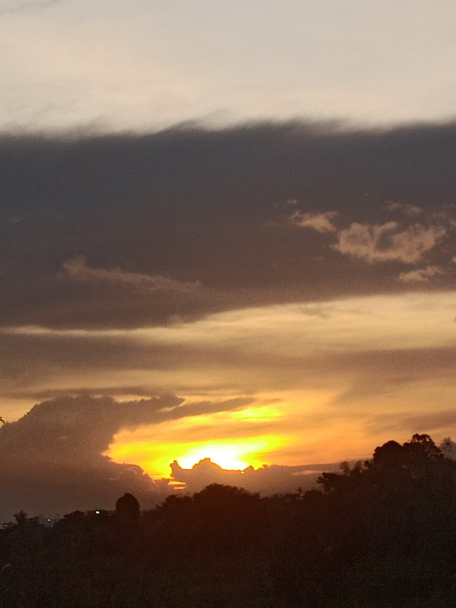 agra bosky tweet media