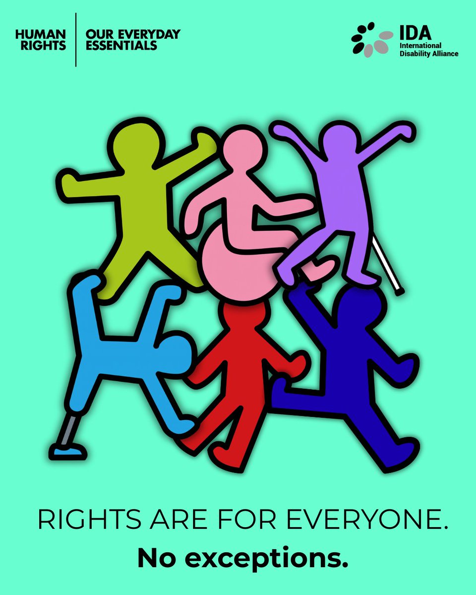 This #HumanRightsDay, IDA stresses that disability rights are everyday essentials.

From health care to education and employment, these rights open real opportunities for 1.3B persons with disabilities.

OPDs are leading the way forward.
#DisabilityInclusion #OPDs <a href="/UN_GDF/">Global Disability Fund</a>