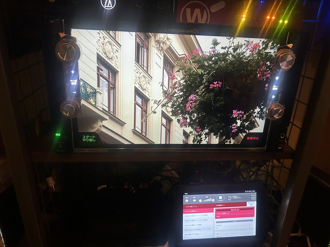 めいめいどーるのツイート