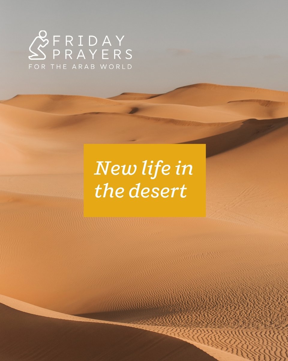 In North Africa a team is forming to reach a people group who live in the desert. Today we're praying for more workers for this region, particularly the interior areas which have very little Christian presence. May the Lord cause streams to flow in this dry and barren land!