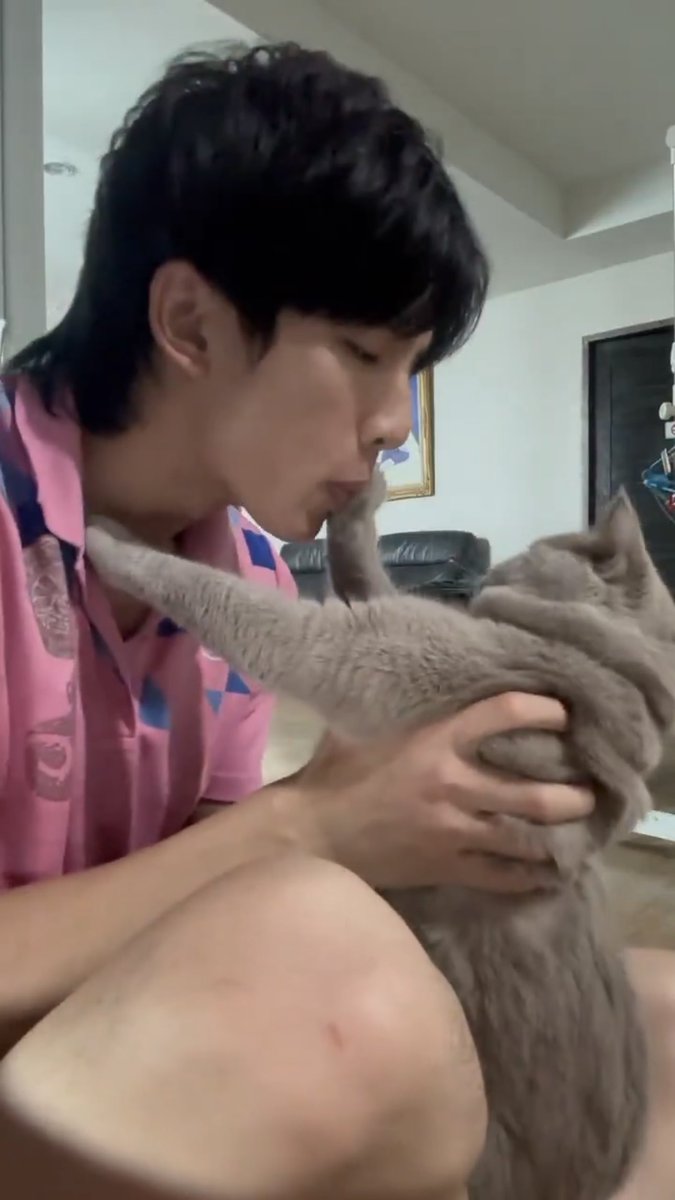 tha1zon3's tweet image. 고양이한테 거절당하는 서프의 삶
#surfjava