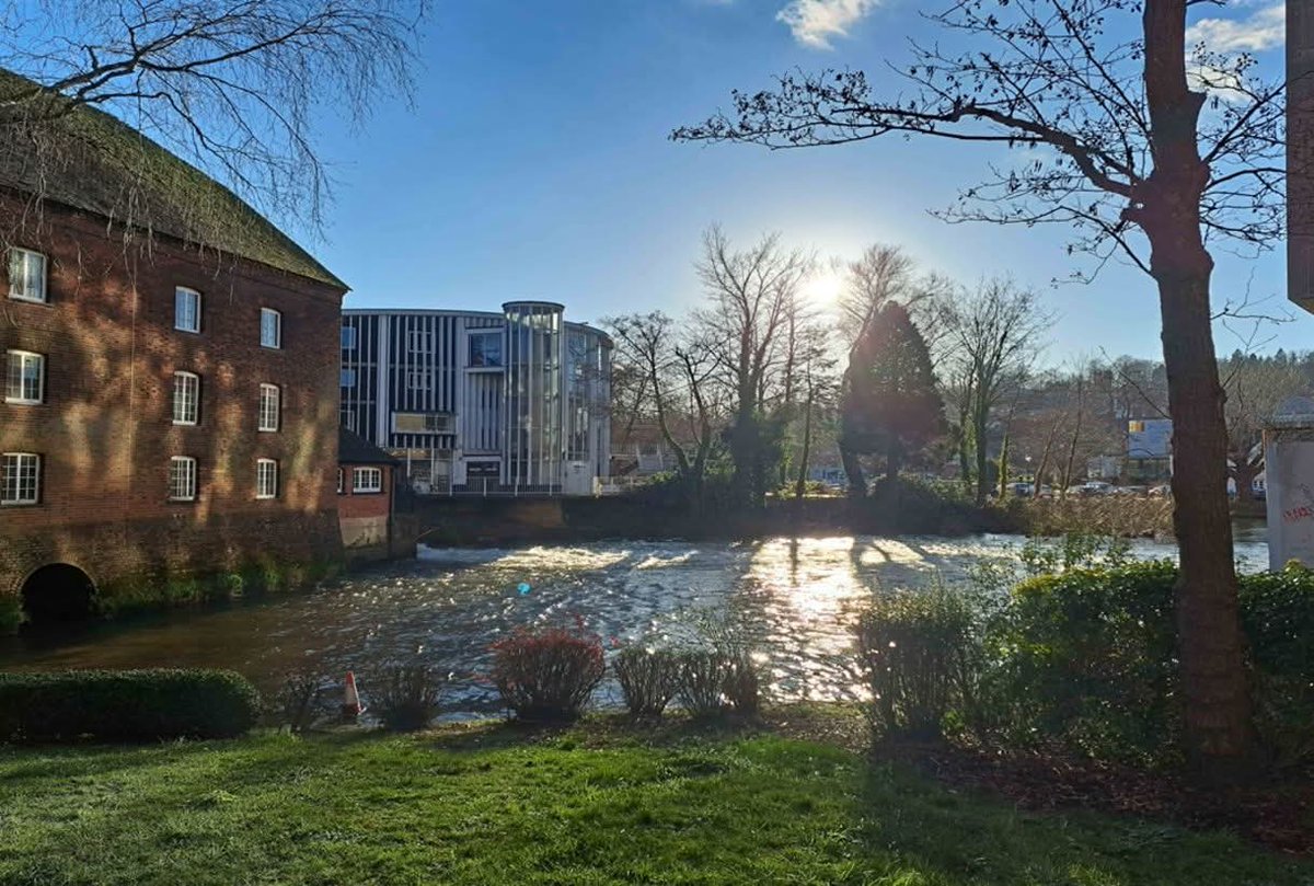 AMonkeyWithCymbalsTC tweet media