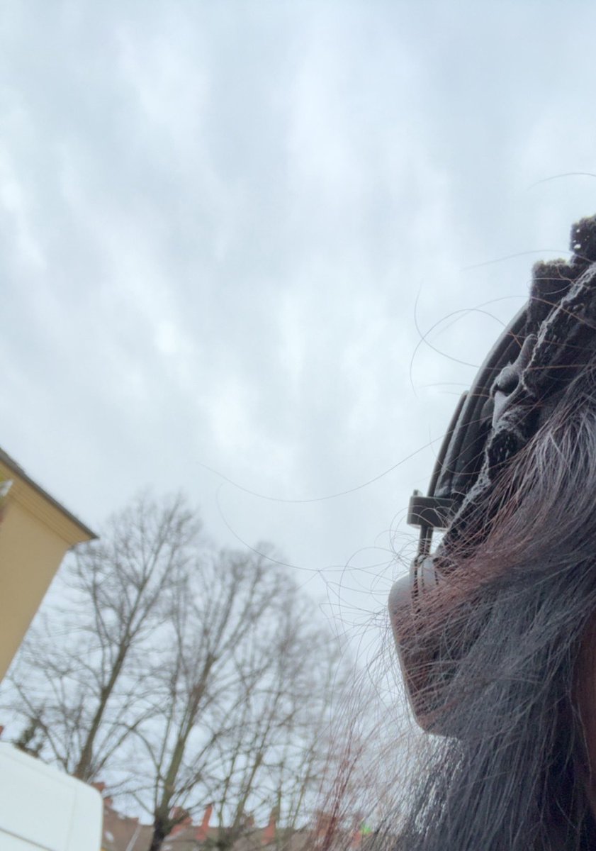 beauty zocker tweet media