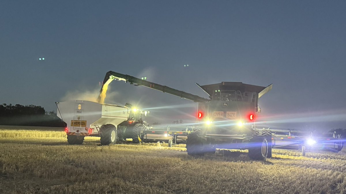 Julia Hausler tweet media