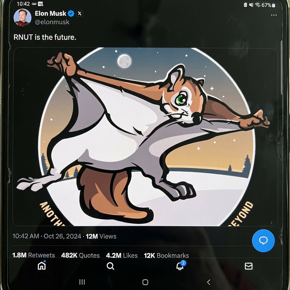 Rnut tweet media