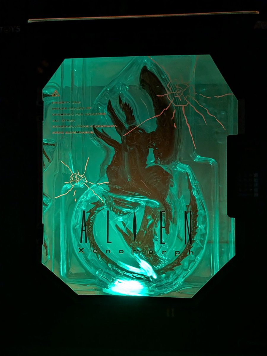 Yoshi. (@Yoshi6054) / Highlights / X