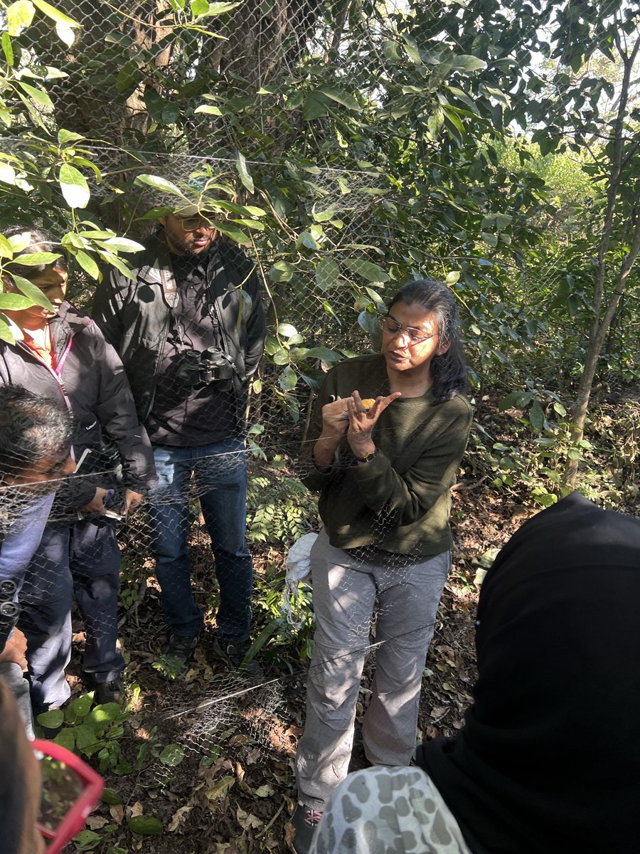 NcbsMp's tweet photo. Favourite part of the day10 of field techniques in ecology course - mist netting.  

Dr Farah Ishtiaq teaching bird handling for tagging, measuring morphological attributes, population health and ecology.
#fieldcourse #satpuratigerreserve @NCBS_Bangalore #ncbs #ornithology https://t.co/eaOLSCRK4g
