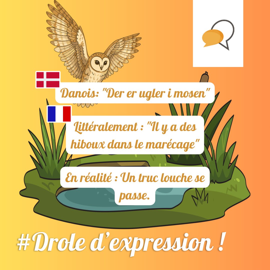 LEASejours's tweet photo. Une expression danoise qui te dit simplement :
si des hiboux commencent à traîner dans un marécage…
c’est que quelque chose cloche.
Un calme bizarre, une ambiance étrange… bref,
le moment où ton instinct te dit : “attention”. https://t.co/sjZEV2Nb5Z