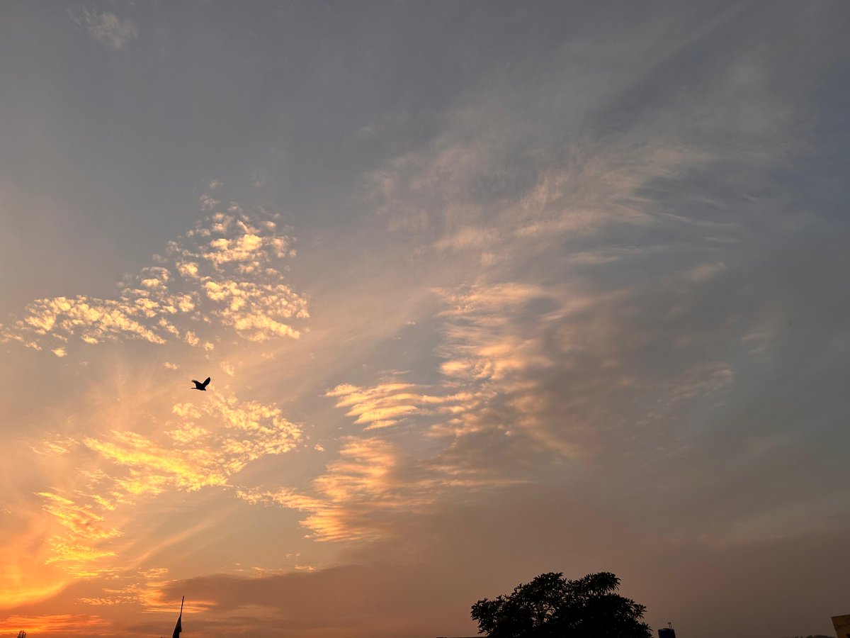 Every sunset carries a lesson let go of what's heavy keep what's true

Good Evening ☕