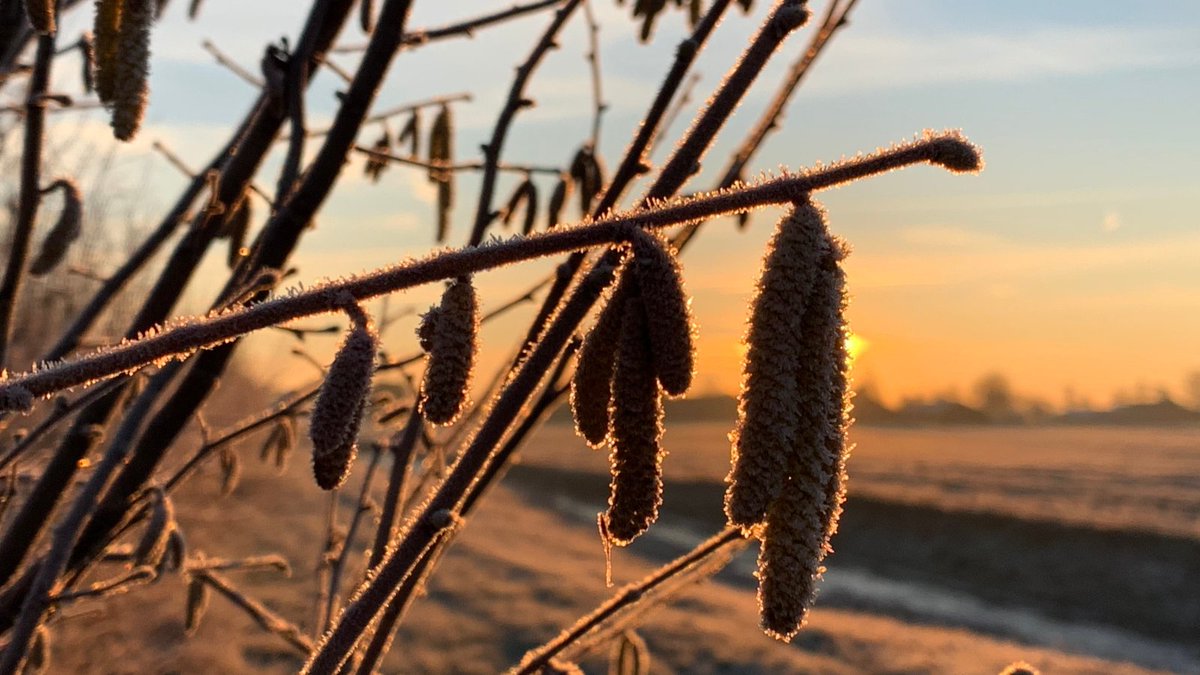Atmo Nouvelle-Aquitaine tweet media