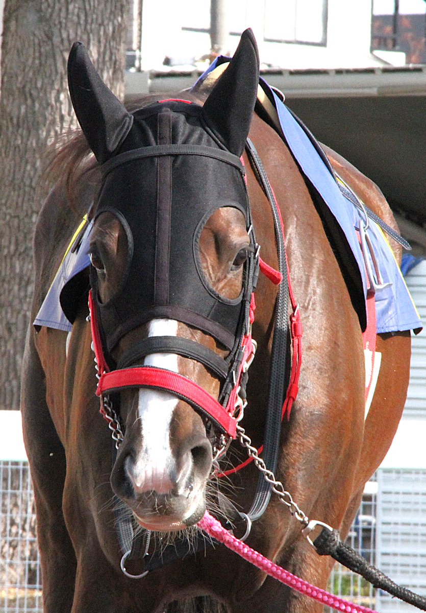 水ナス (@vKhAUJtQ0D3JPIU) / Posts / X