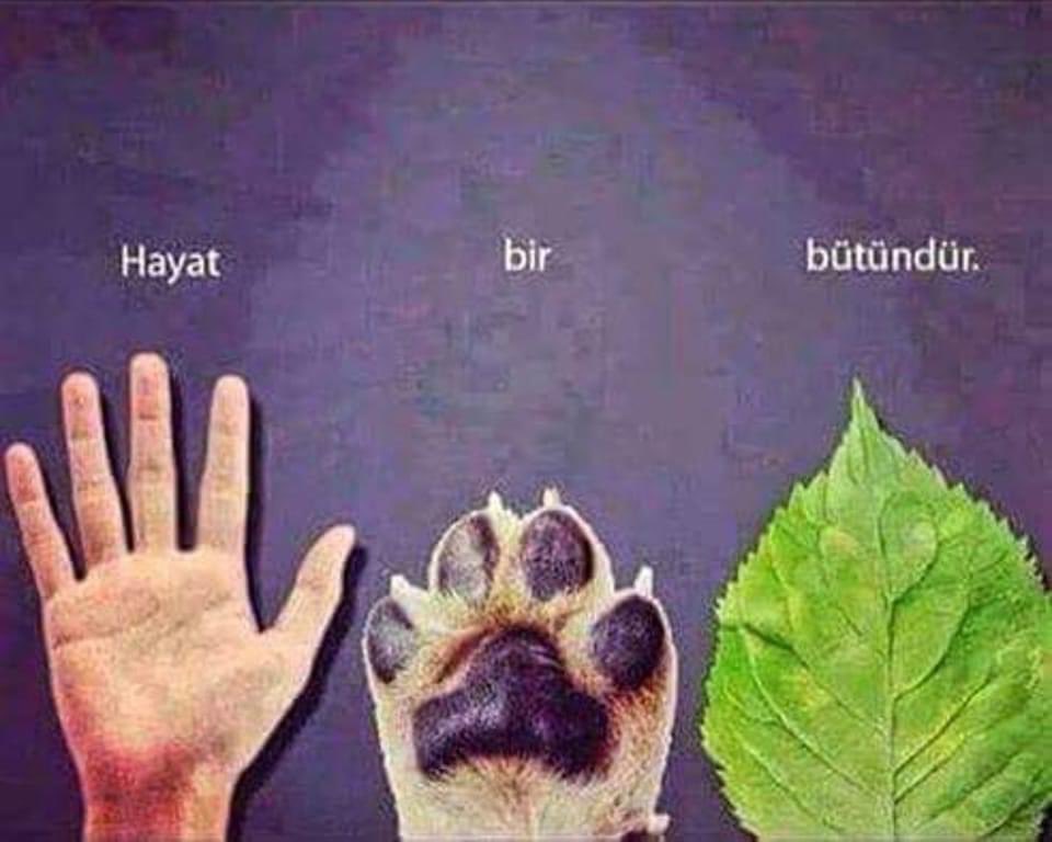 Dünyaya barış, sevgi ve iyilik yayacak insanlar, insani vasıflara sahip insanlardır.
Vicdanlı, merhametli, adil ve ahlaklı olup, insan hayvan ve doğa olmak üzere yaşam hakkına saygı duyan tüm insanların, #insanhaklarıgunu kutlu olsun.