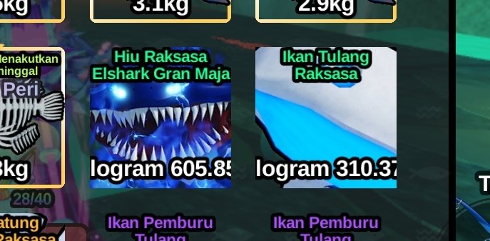 wts big maja 25k bonus bone whale