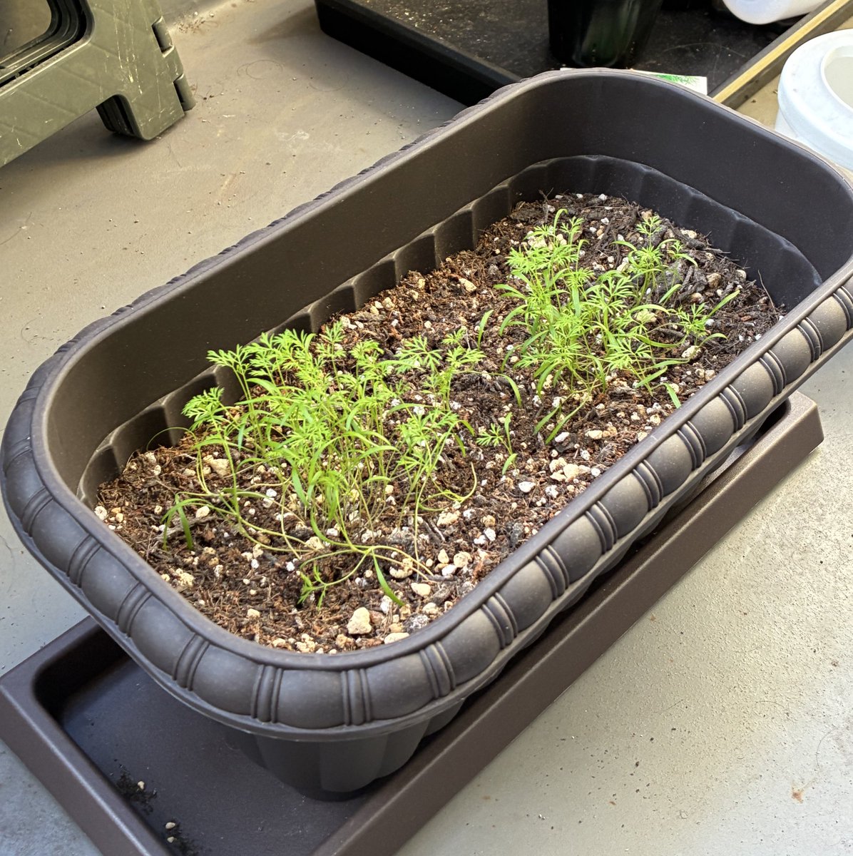 ゆうき🇯🇵🇷🇺 tweet media