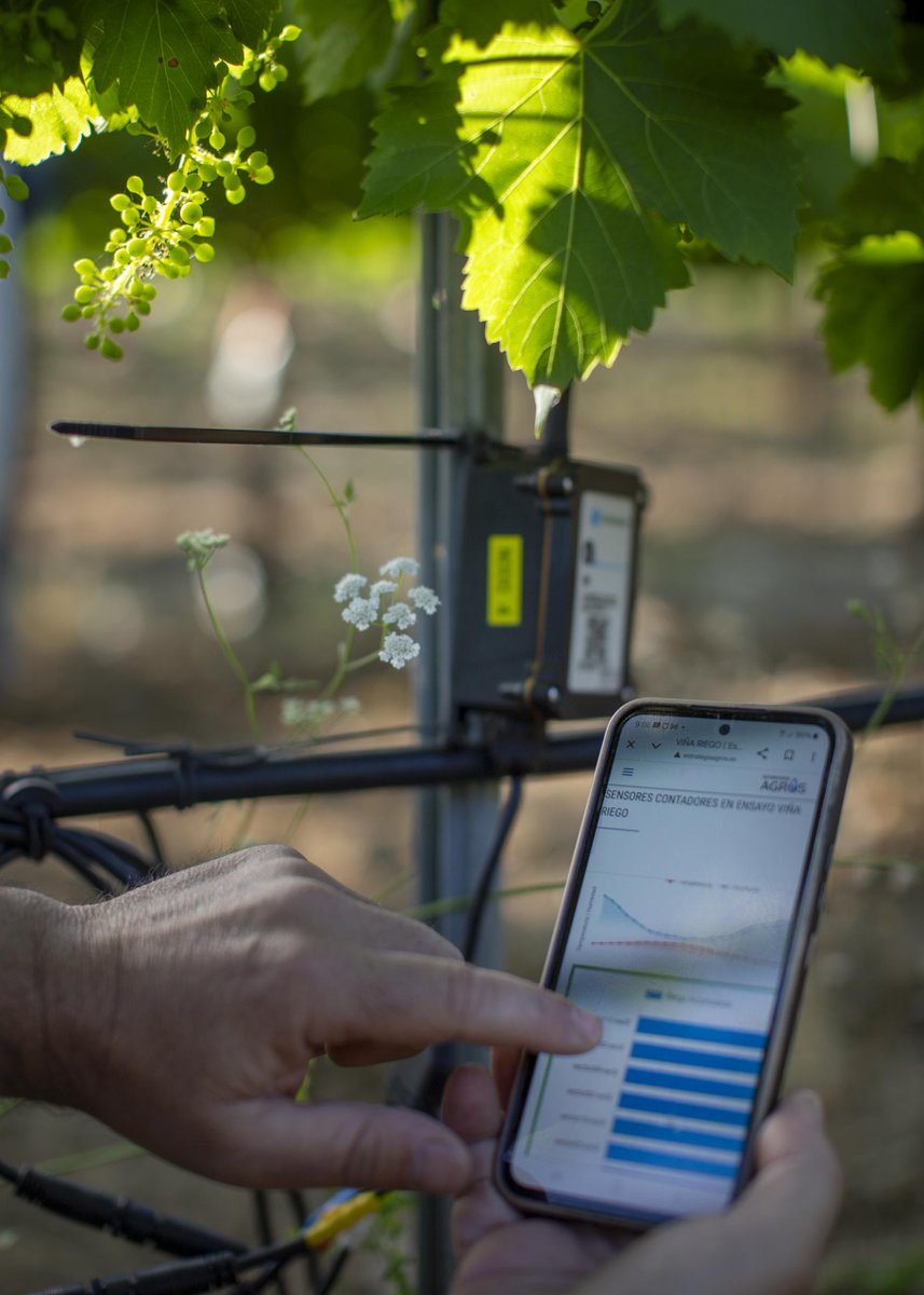 SECHorticolas's tweet image. ⏰ÚLTIMOS DÍAS PARA INSCRIBIRTE

📢"Taller de redes de #sensores inalámbricos con LoRaWAN" 

➡️Taller gratuito organizado por @CICYTEX y @SECHorticolas
 
ℹ️Información e inscripciones en el apartado de Jornadas de nuestra página web sech.es