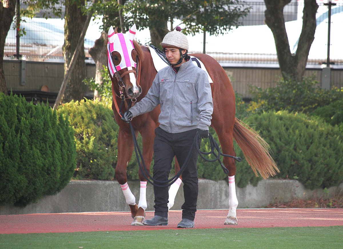 水ナス (@vKhAUJtQ0D3JPIU) / Posts / X