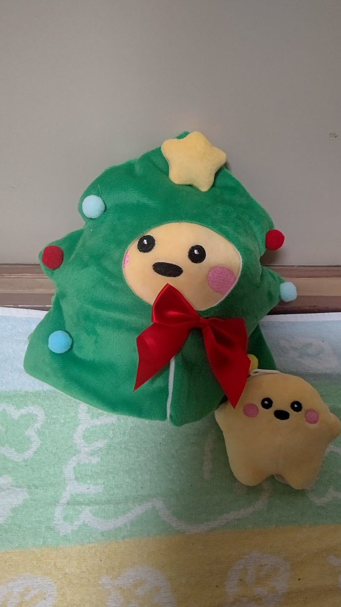 ☆も良いけど○もいい✨ #サーキュラー #ぬいぐるみ #ぬいぐるみの時間