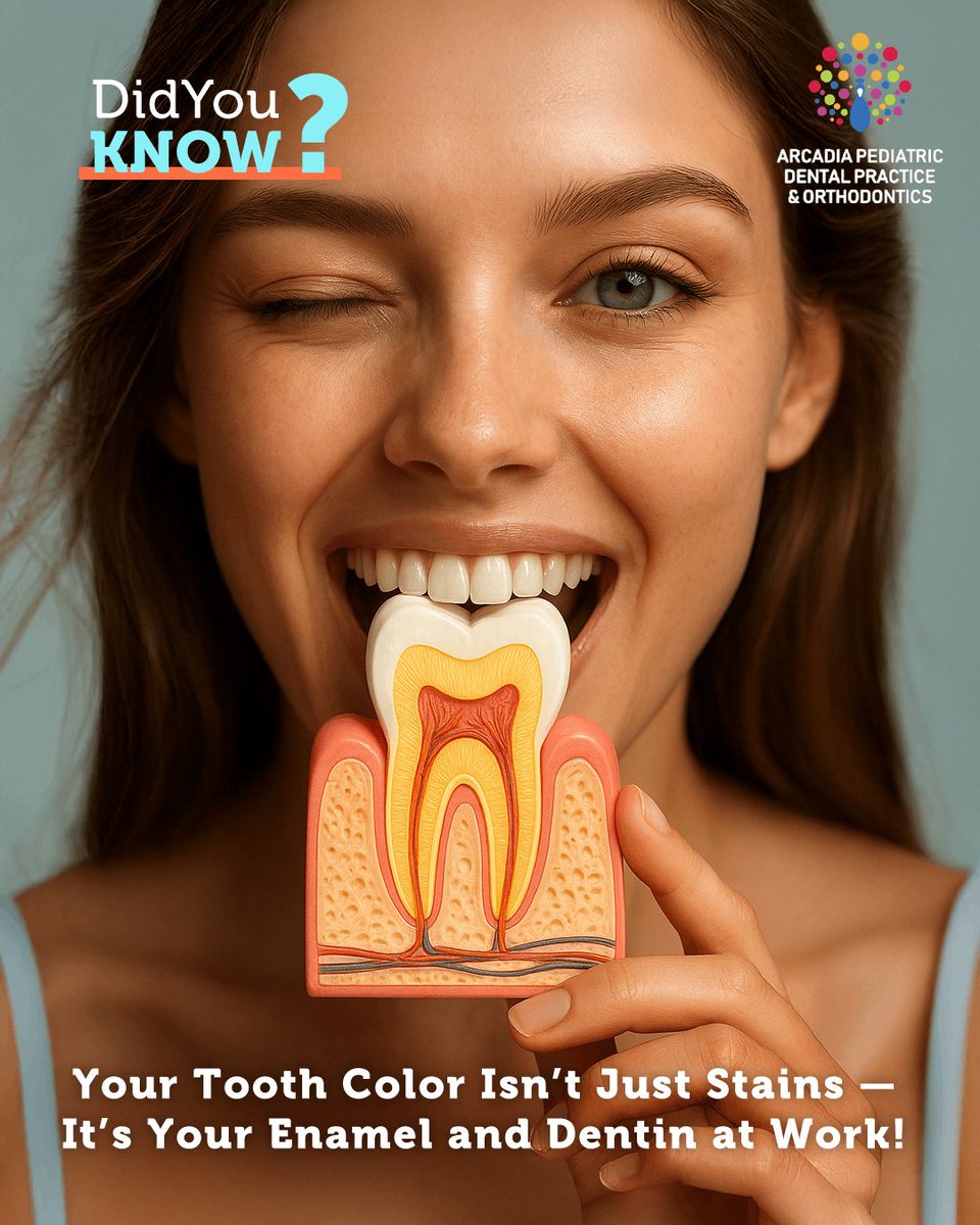EddieSoDDS's tweet image. 🦷✨ Did You Know? 🎨

Your #Tooth Color Isn’t Just Stains — It’s Your #Enamel and Dentin at Work! 😮✨

Thicker enamel looks whiter, thinner shows more #dentin 🧬😁.

Good #OralCare still matters: #brush daily 🪥, limit acids 🥤, and get regular cleanings.

#DidYouKnow