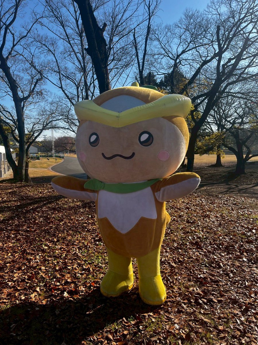 トコろん【公式】 (@tokoron1056) / Posts / X