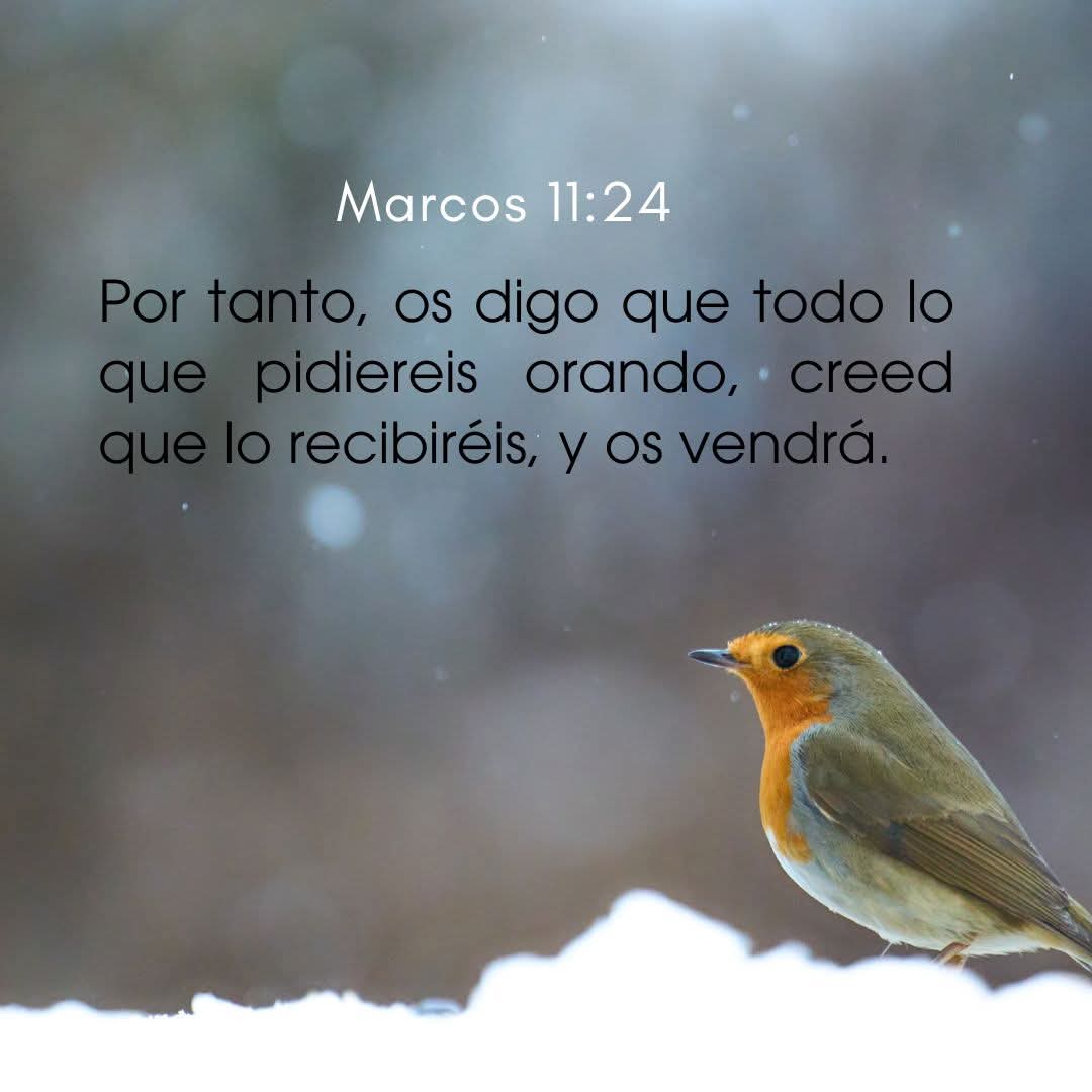 💗 #QueenElizabeth💗 tweet media