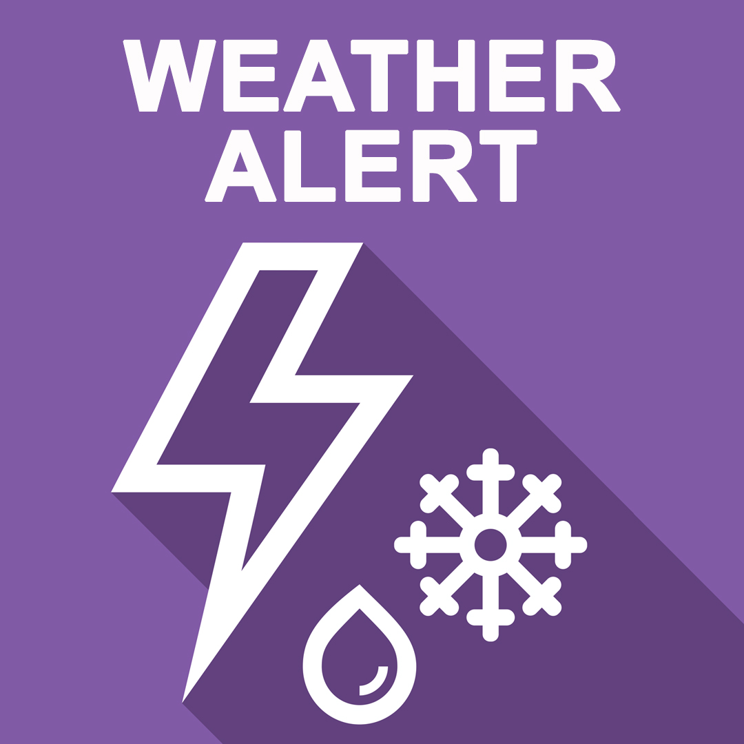 Lansing Community College tweet media