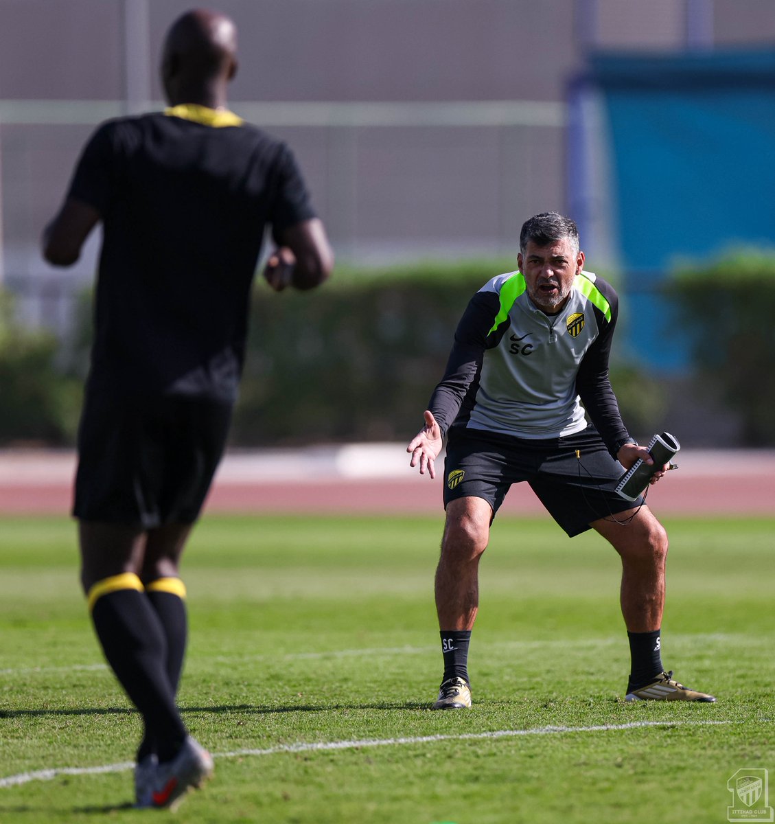 Tigers on Wednesday 📸