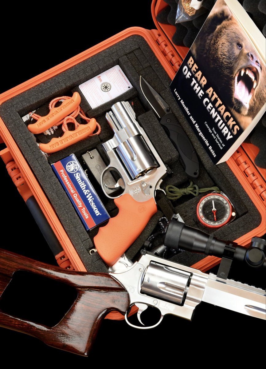 ガスガン　2個セット 今夜のトイガン（ガスガン） タナカのガスガンでS&W純正（ふう）500ES