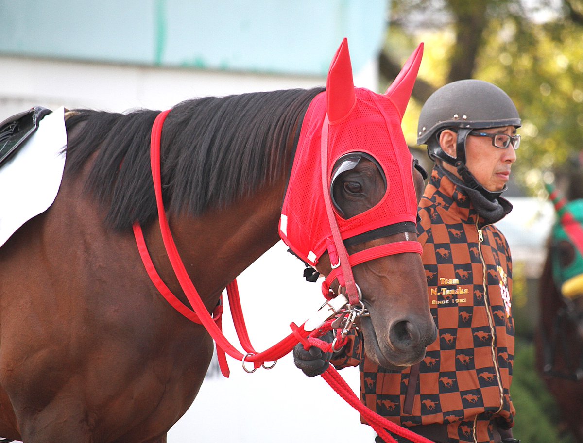 azusa⭐️フォロー割開催中⭐️ 水ナス (@vKhAUJtQ0D3JPIU) / Posts / X