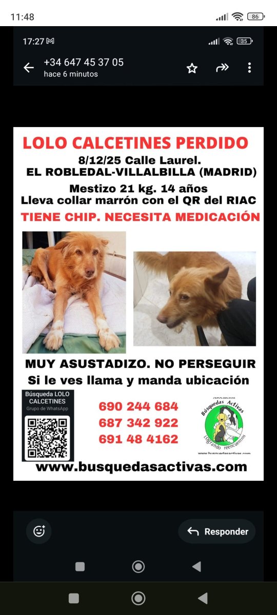 ☑️Actualización 10/10/25
Posible avistamiento del abuelito LOLO en #pioz,#Guadalajara 
Si conoces a vecinos de la zona DIFUNDE gracias!!
