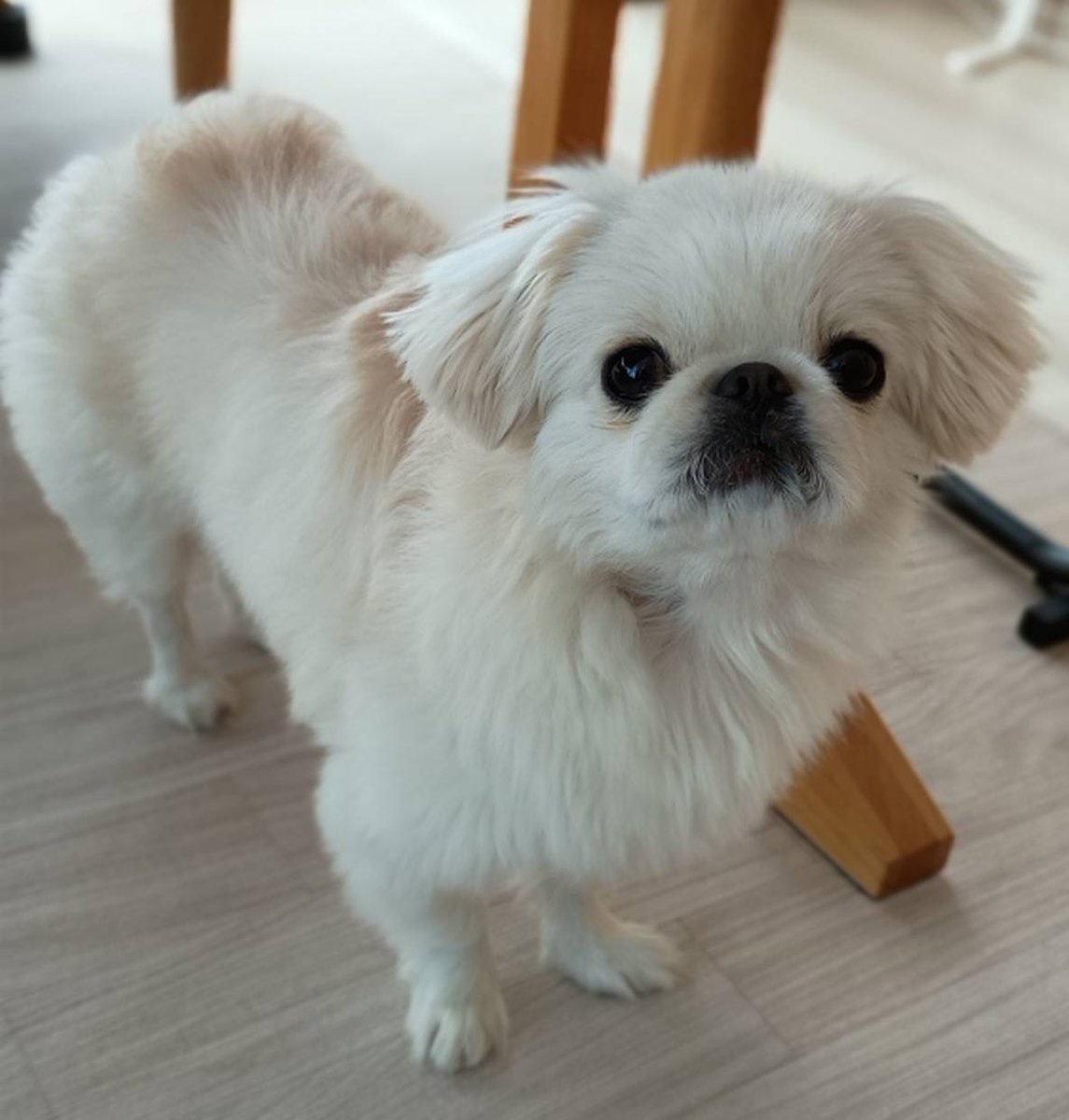 むぎくん (@muuuugi76) / Posts / X