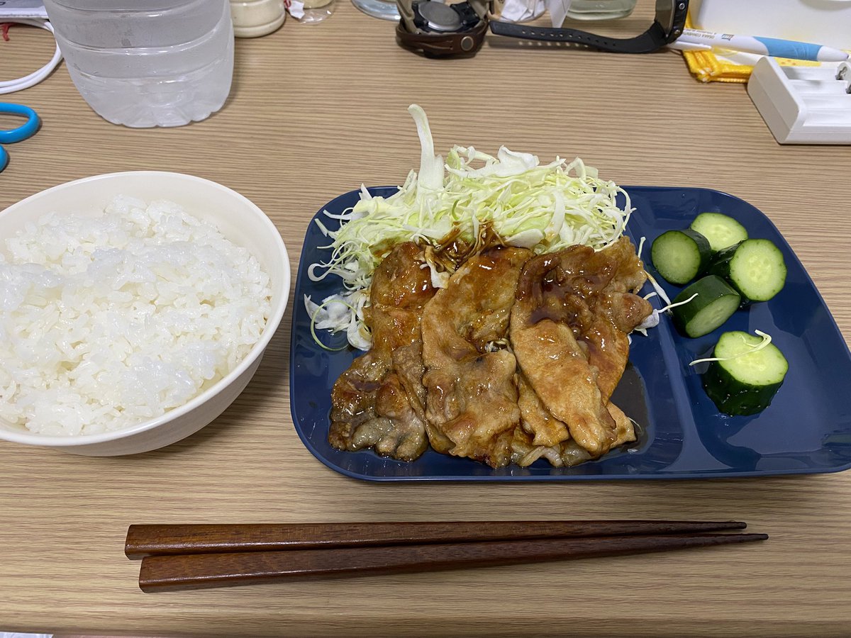 ごはー🍚🐕疲れたー