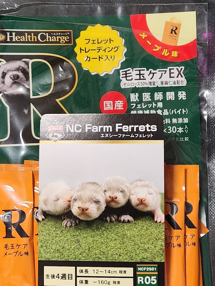 Kuuのおやつ買ったら
＿人人人人人人人＿ 　
＞     フェレット    ＜
＞トレーディング＜
＞    カード入り　＜　　　　　 　
￣^Y^Y^Y^Y^Y^￣
で、今これw