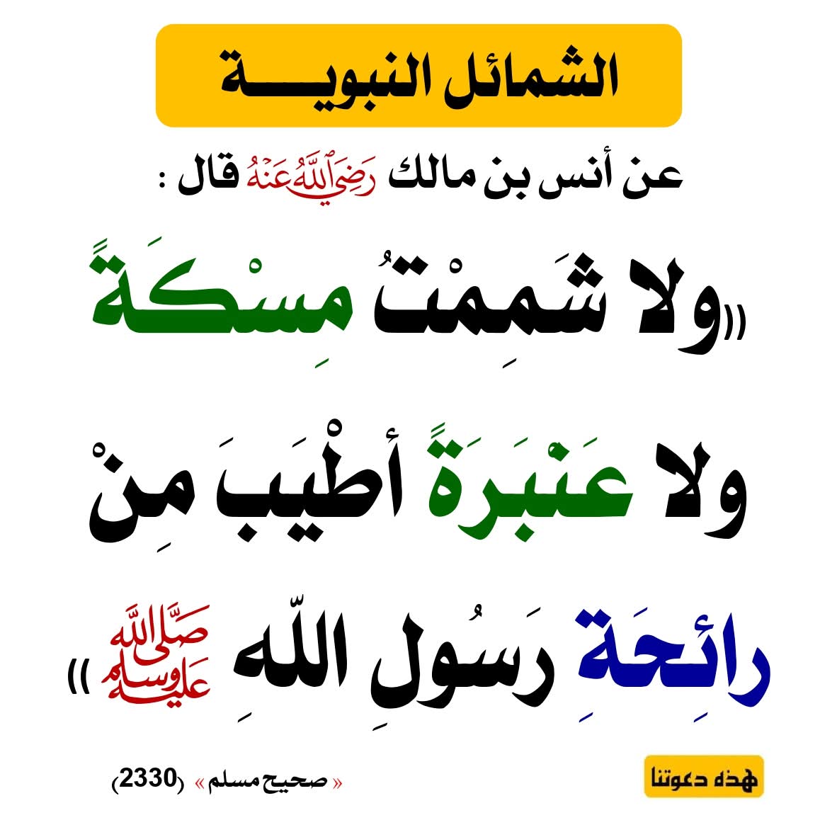 طويلب علم (@m_7d_7) on Twitter photo 