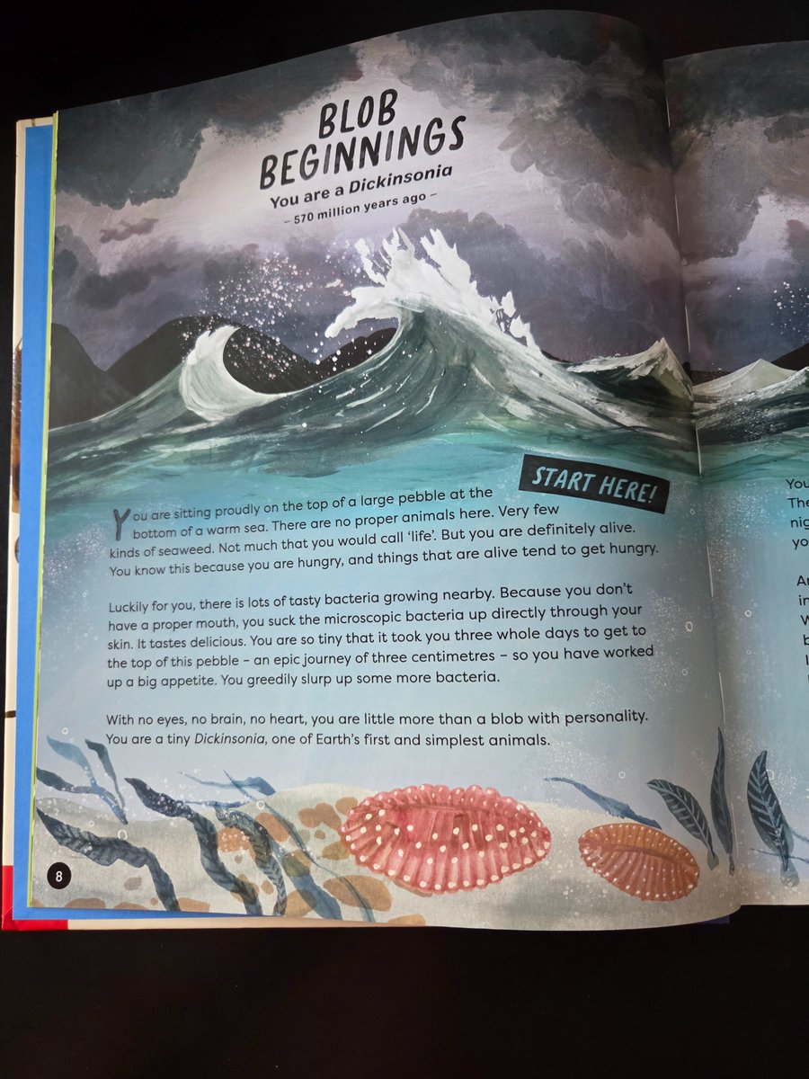 bcb567's tweet image. A choose-ypur-own-adventure book for budding paleontologists! You start as a Dickinsonia &amp;amp; each page has 3 choices to plot your path through evolution. Will you survive or become extinct? I ended up as an ammonite - great fun! #evolution #ks2 @nosycrowbooks