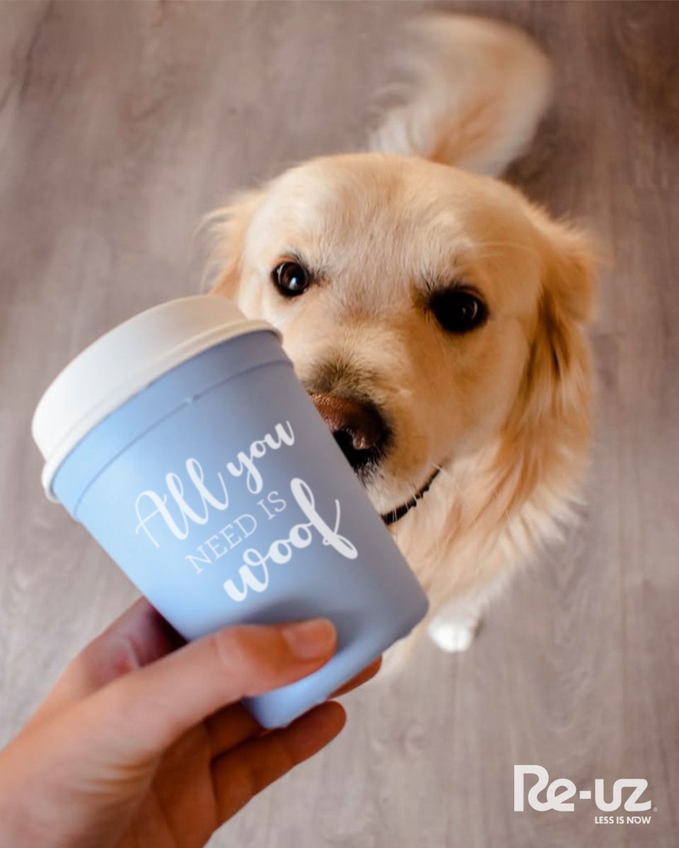 Hoy, 10 de diciembre, celebramos el Día Internacional de los Derechos de los Animales🐕💚

All you need is woof… y un planeta donde humanos y animales vivamos en armonía con respeto y libertad🌍

#derechosanimales #dretsanimals #animalrights #ResiduZero #Ecofriendly #Sostenible