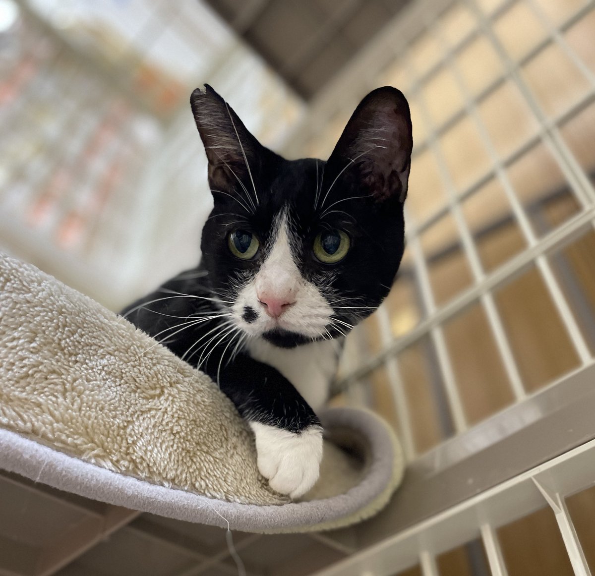 おねっさん (@LuckyStar111222) / Posts / X