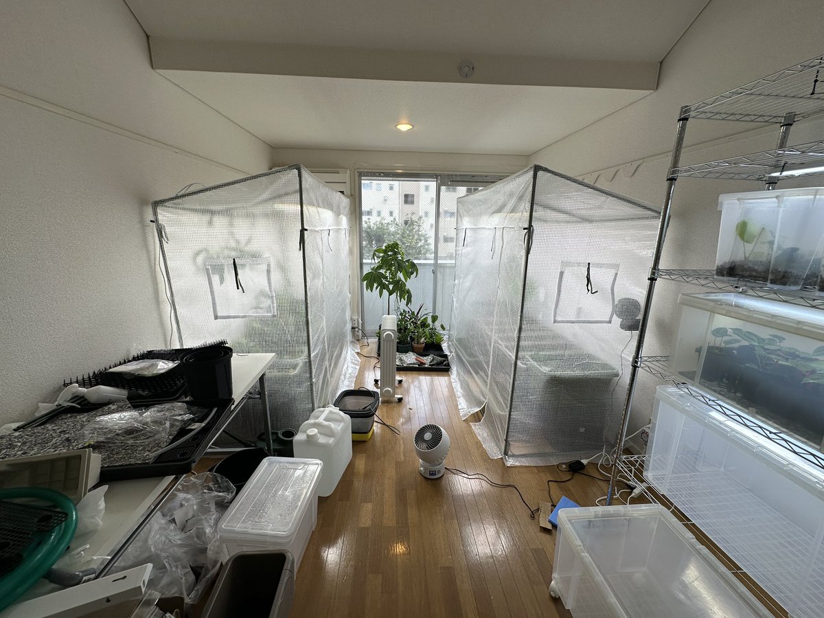 Masaya (@masaya_zxrs) / Posts / X