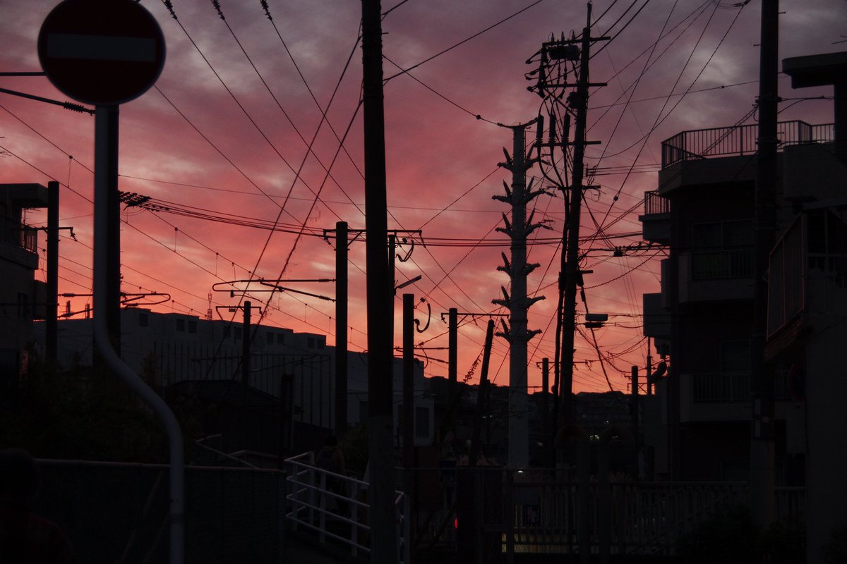 huerumegane's tweet image. 